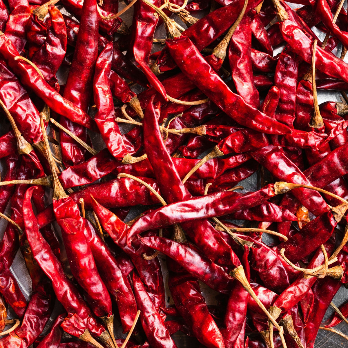 Whole dried red chillies