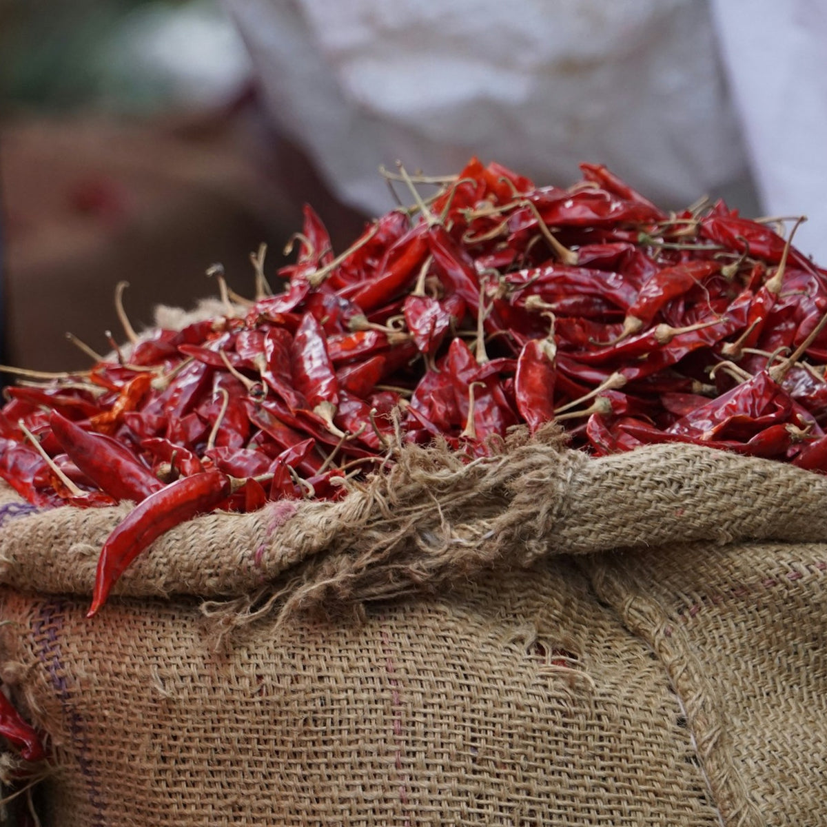 Dried red chillies in a jute sack