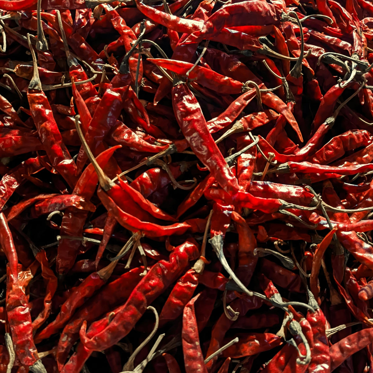 A heap of whole dried red chillies