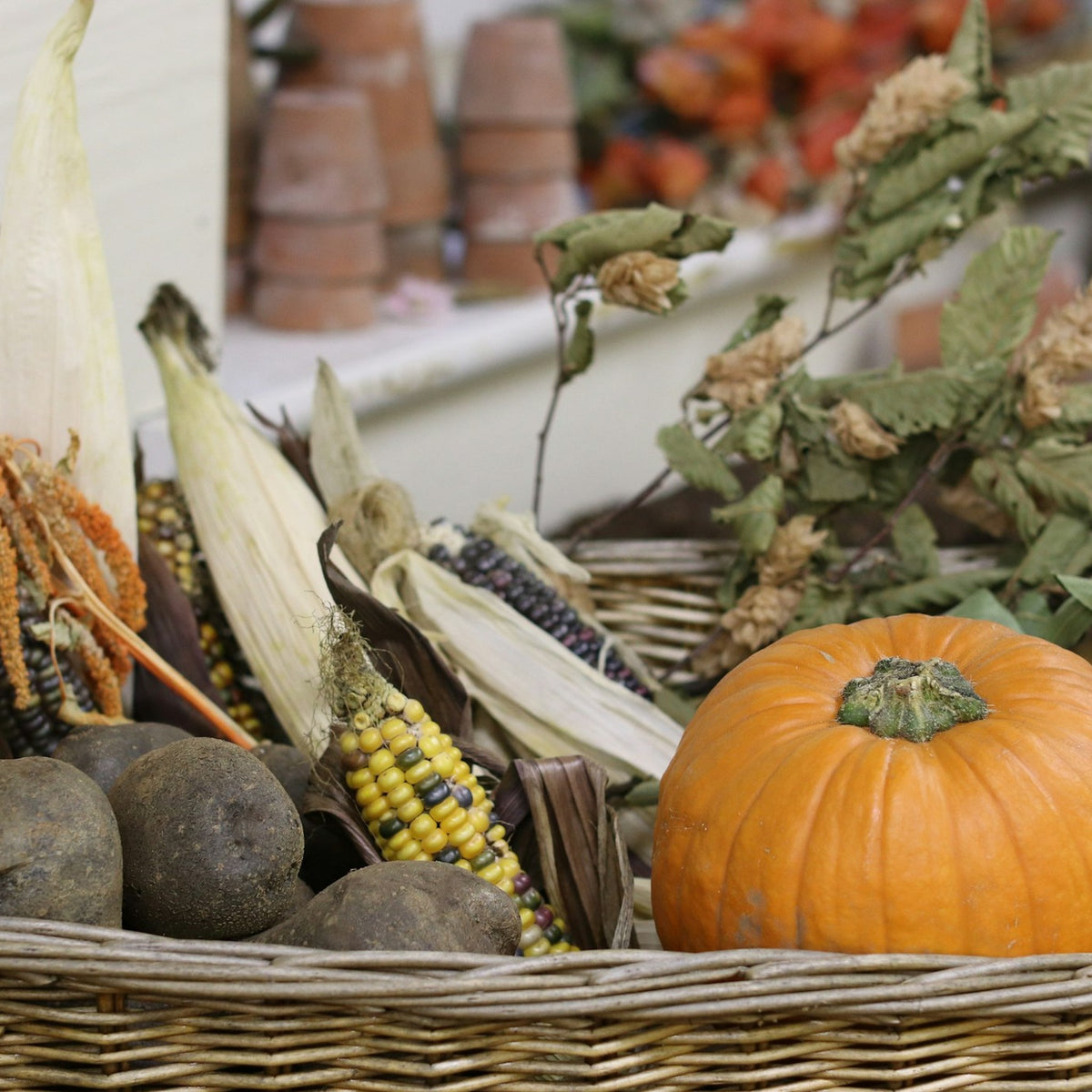 Seasonal vegetables in a basket