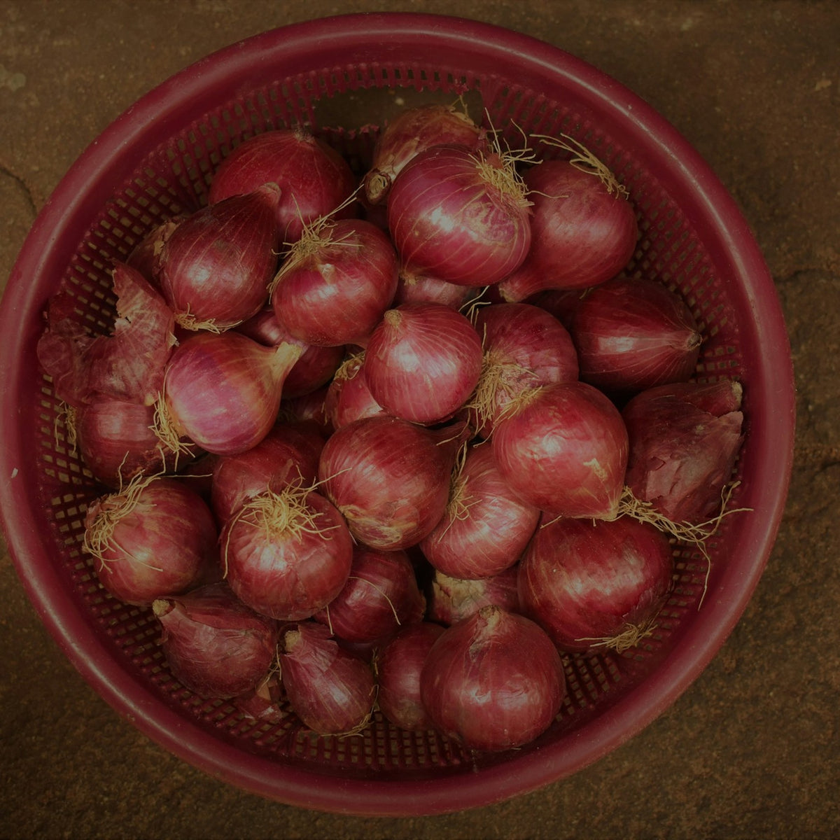 Onions in a basket
