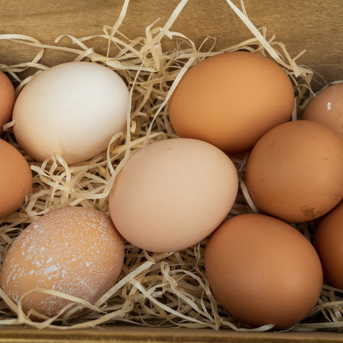 Brown eggs on straw