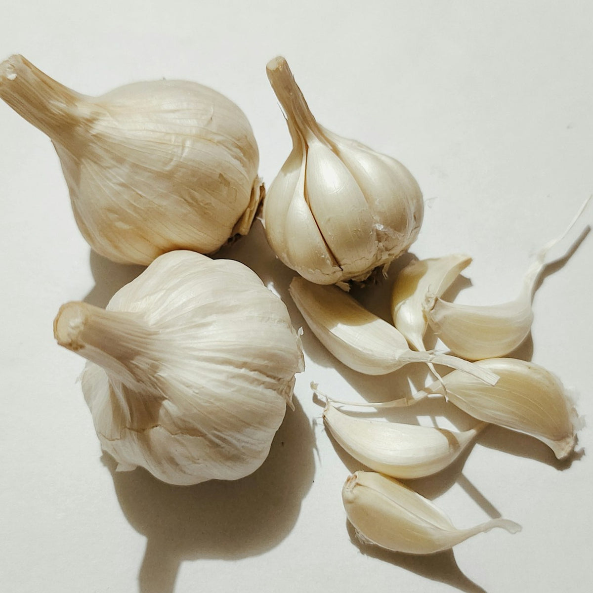 Garlic bulbs and cloves