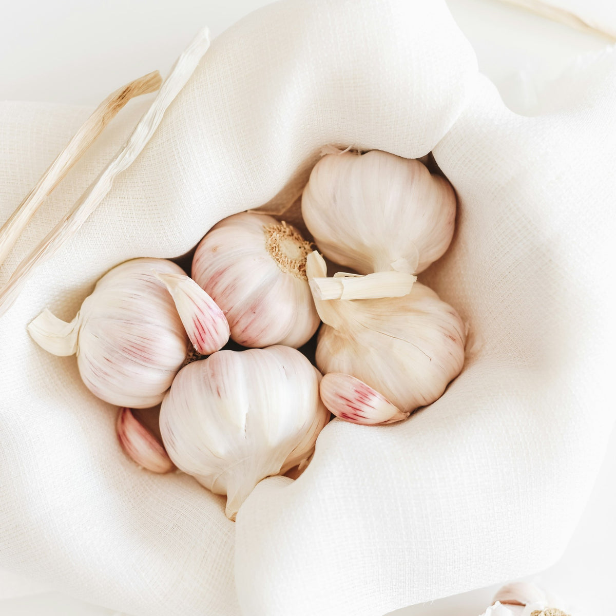 Garlic bulbs in a cloth
