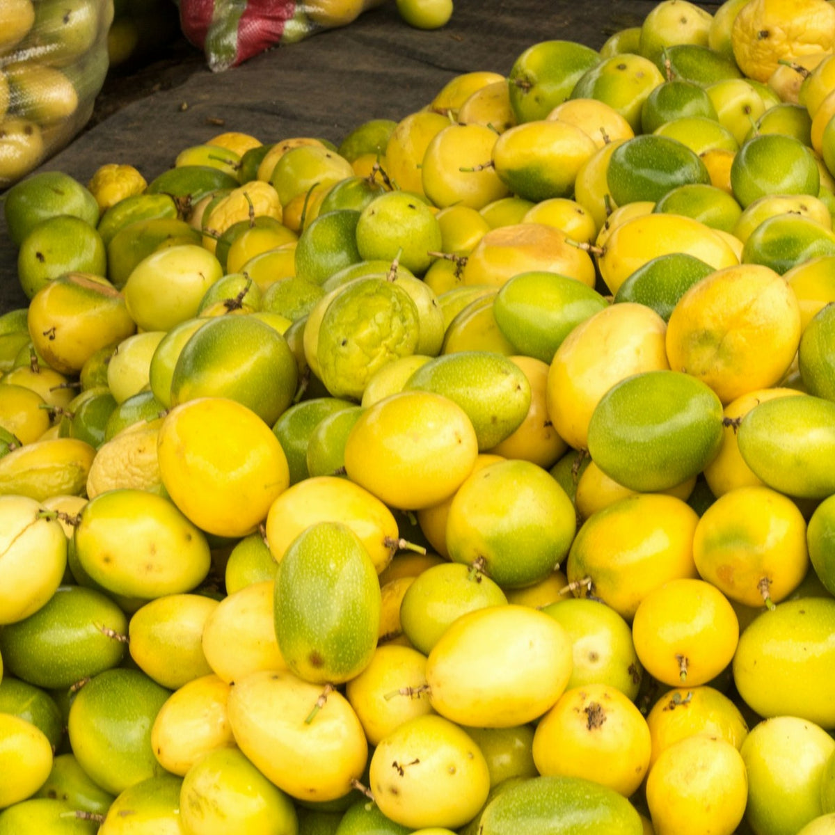A heap of fresh desi lemons