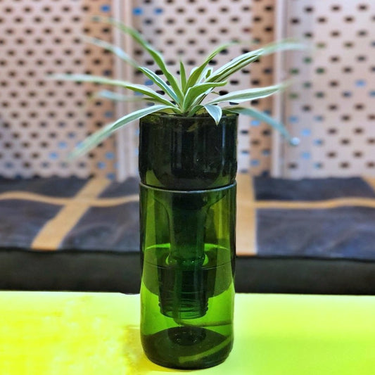 SELF WATERING PLANTER- SPIDER