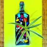 BOMBAY SAPPHIRE PLANTER - SPIDER - Buy Eco Friendly Products - Upycled, Organic, Fair Trade :: Green The Map