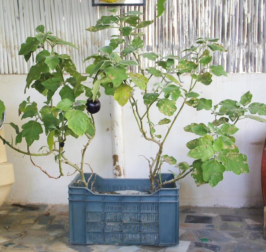 CRATE FARM - Buy Eco Friendly Products - Upycled, Organic, Fair Trade :: Green The Map