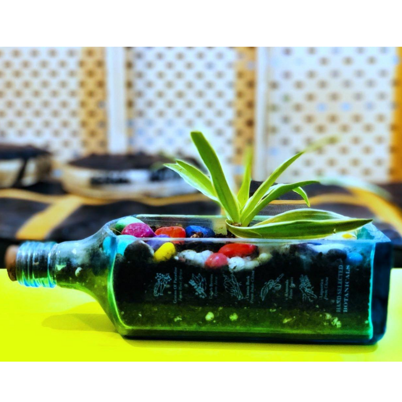 BOMBAY SAPPHIRE PLANTER - SPIDER - Buy Eco Friendly Products - Upycled, Organic, Fair Trade :: Green The Map